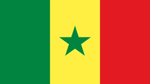 乌度卡剖析：培养年轻球队关键：强化竞技能力与提升战术智慧