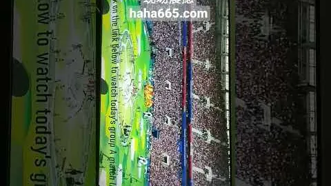 巴西乙连庄分析：专家质合预测与近期表现对决